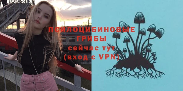мяу мяу мука Новодвинск