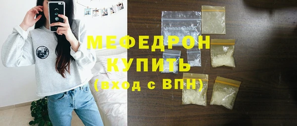 индика Няндома