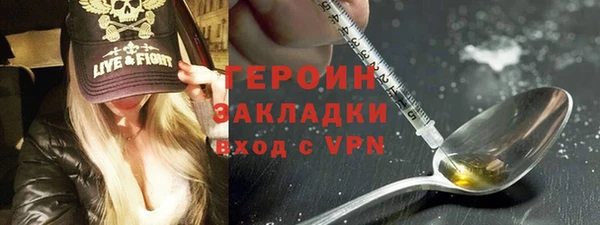 индика Няндома