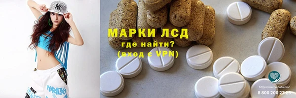 крисы Новозыбков