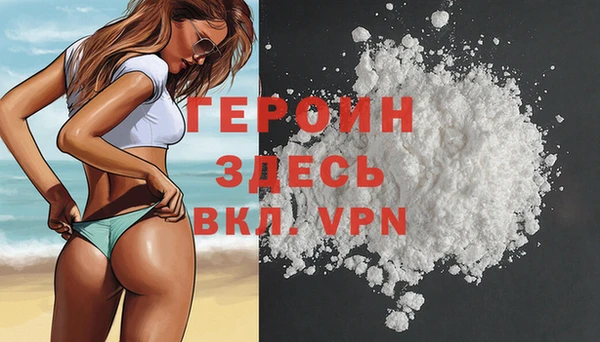 индика Няндома