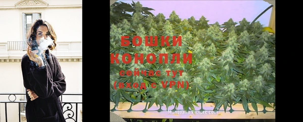 индика Няндома
