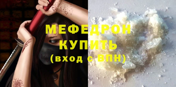 индика Няндома