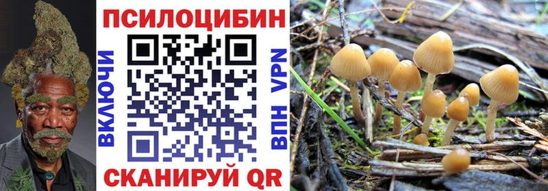 Галлюциногенные грибы ЛСД  площадка формула  Райчихинск 